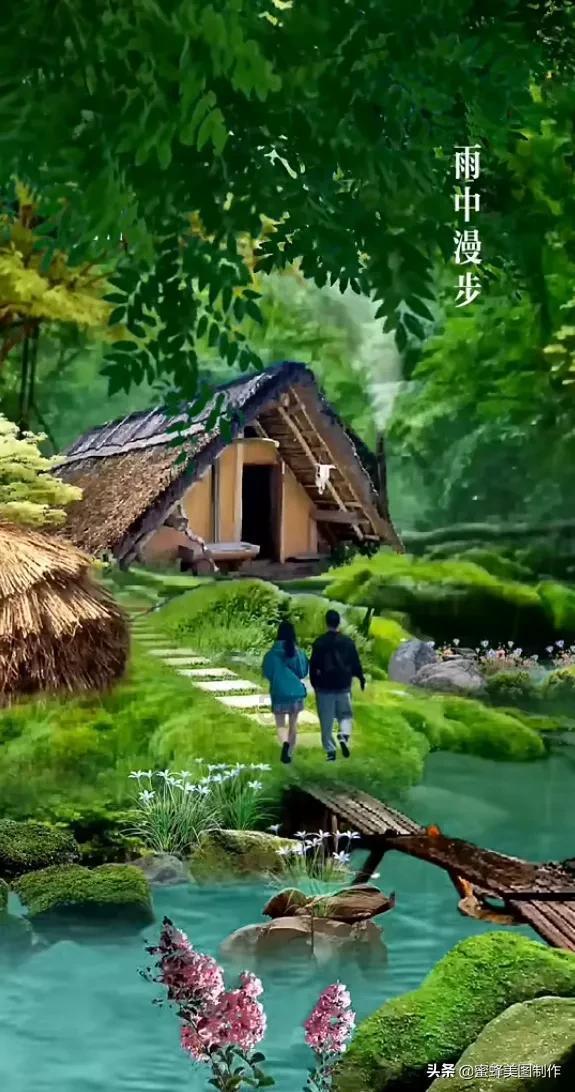 救援受困的鬃狼