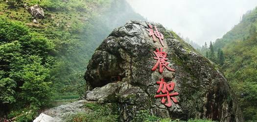 我是高一新生，新学校的凳子是没有靠背的，坐久了背就很酸很难受，而且凳子还小，听课就听的不舒服，有什游戏画面