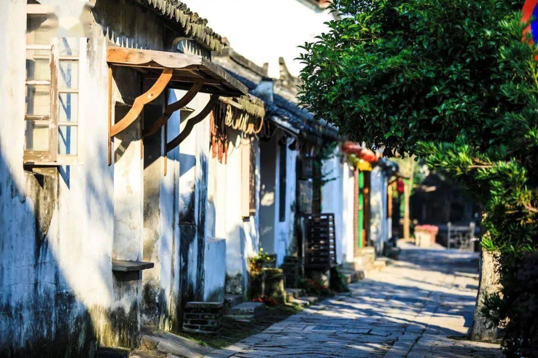 跟踪嫌疑人,逐步掌握平台内容,等待一网打尽5